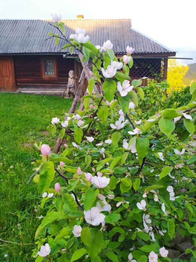 Starovitska Hata - Ethno-Cottage Verkhovyna Dış mekan fotoğraf