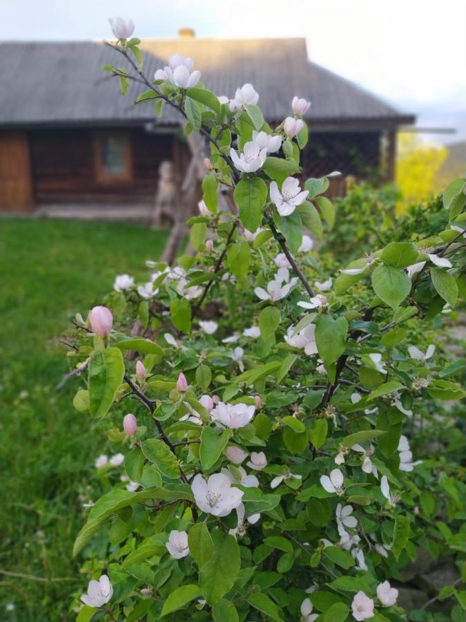 Starovitska Hata - Ethno-Cottage Verkhovyna Dış mekan fotoğraf