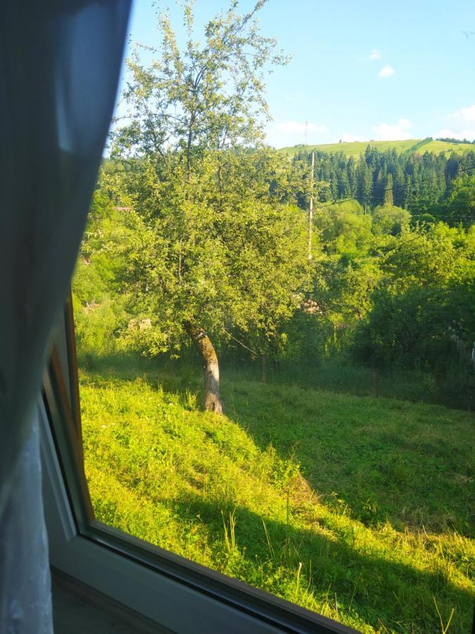 Starovitska Hata - Ethno-Cottage Verkhovyna Dış mekan fotoğraf