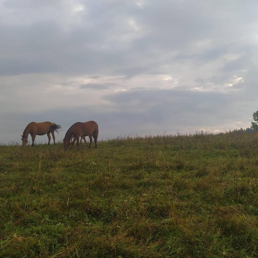 Starovitska Hata - Ethno-Cottage Verkhovyna Dış mekan fotoğraf