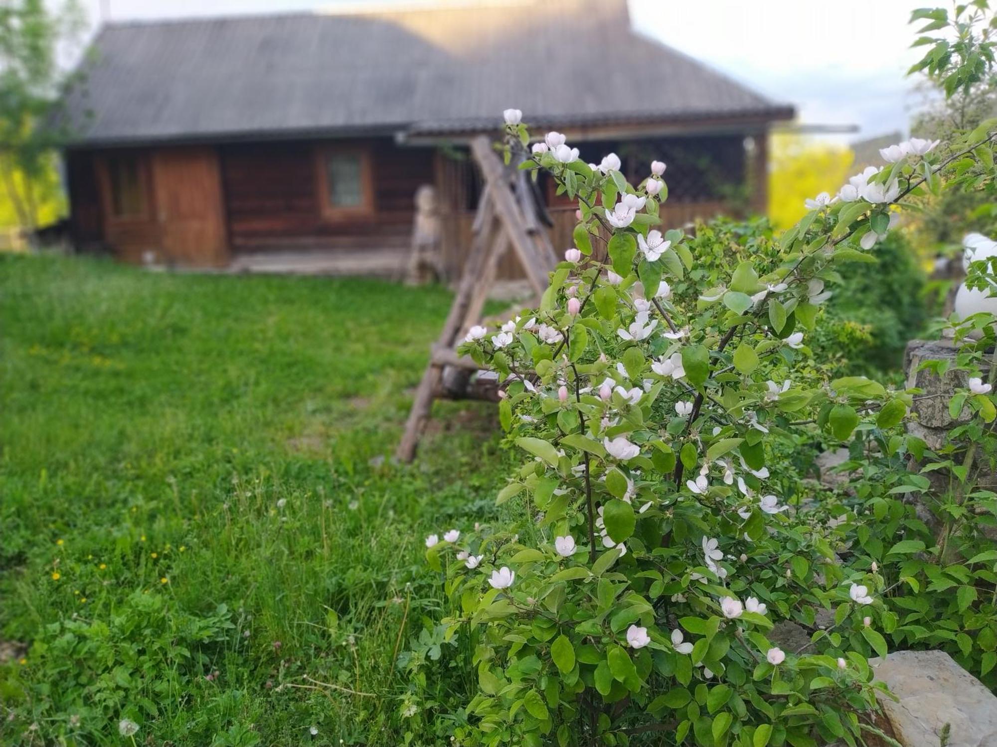 Starovitska Hata - Ethno-Cottage Verkhovyna Dış mekan fotoğraf
