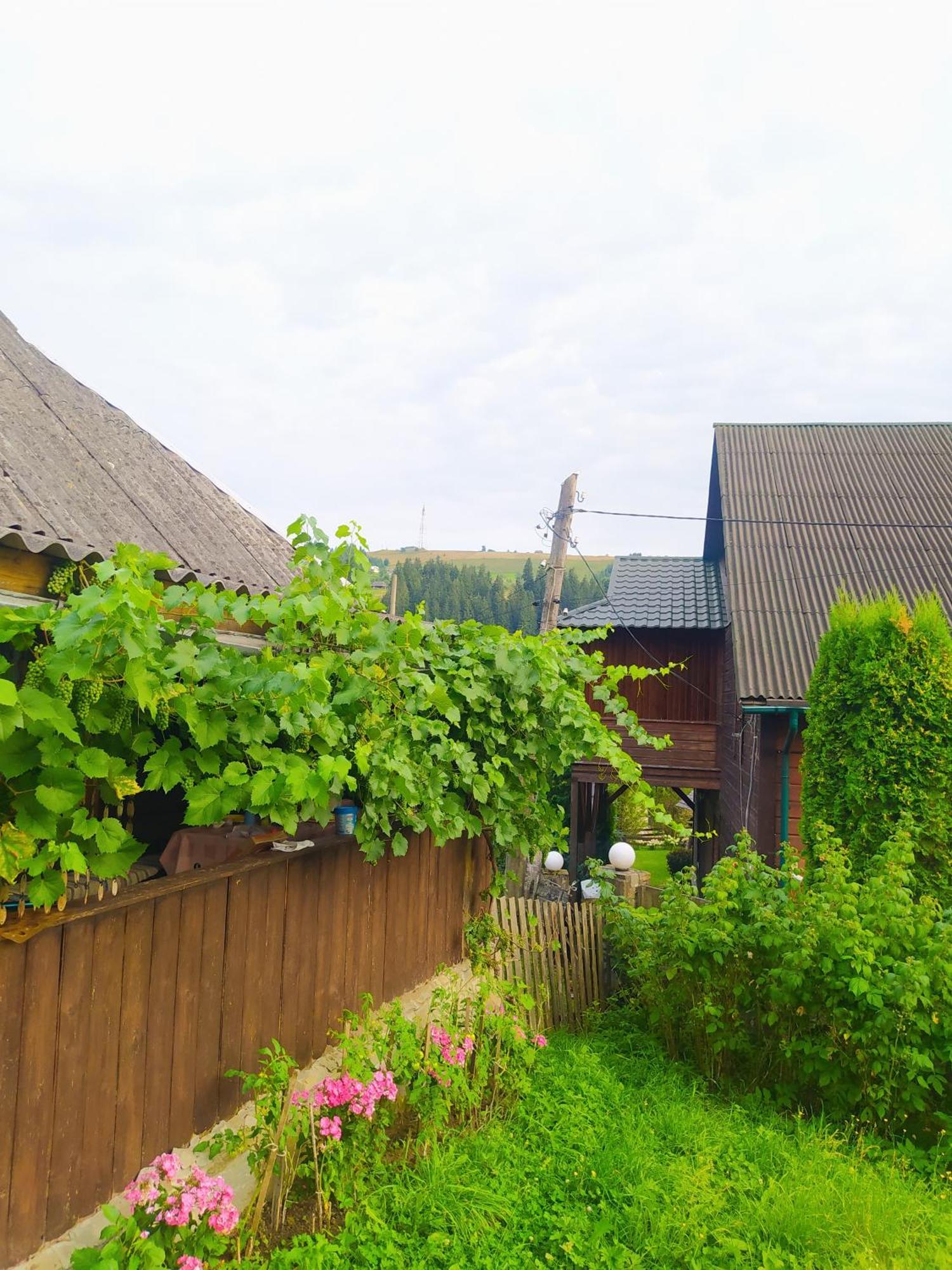 Starovitska Hata - Ethno-Cottage Verkhovyna Dış mekan fotoğraf