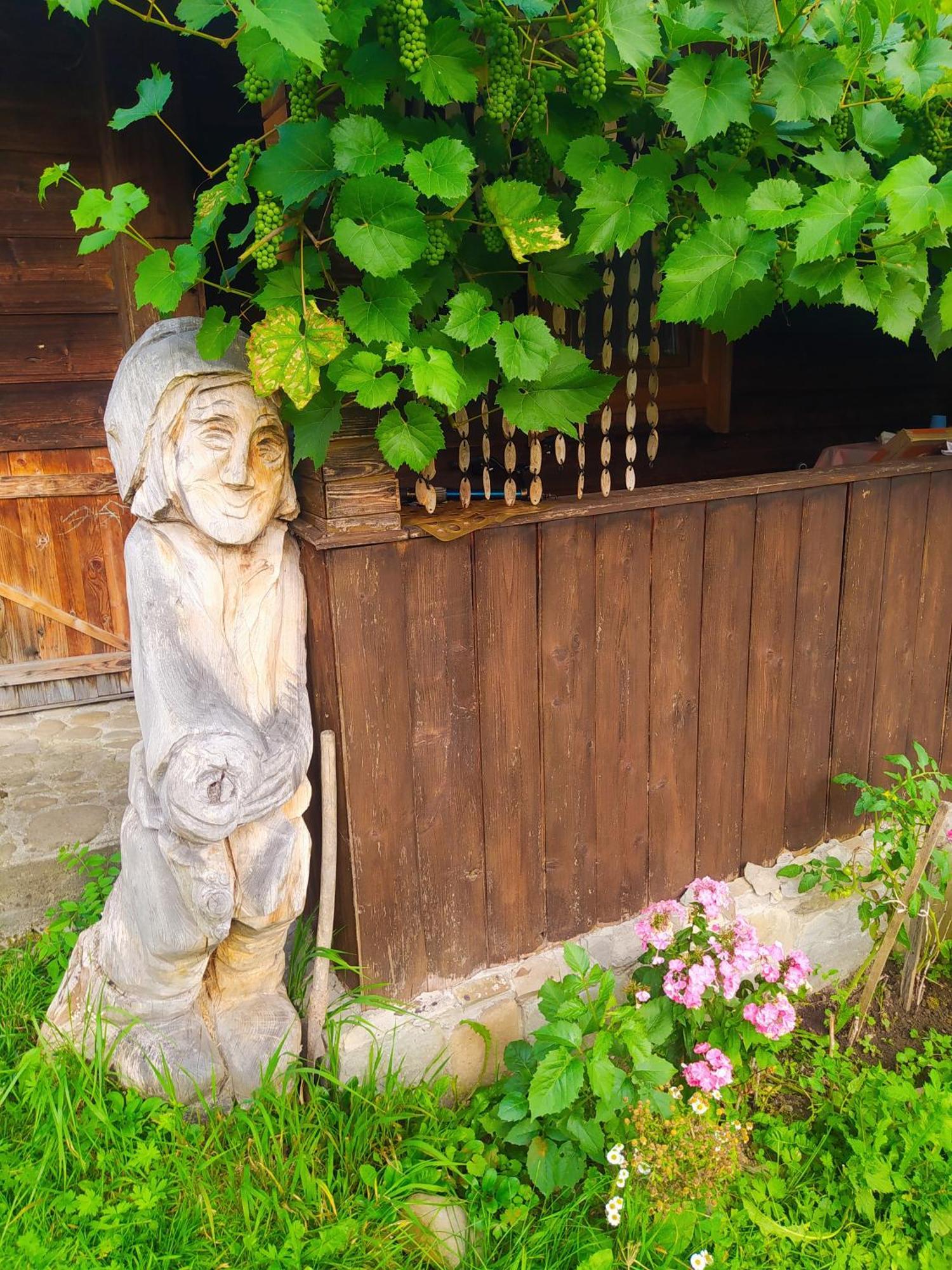 Starovitska Hata - Ethno-Cottage Verkhovyna Dış mekan fotoğraf