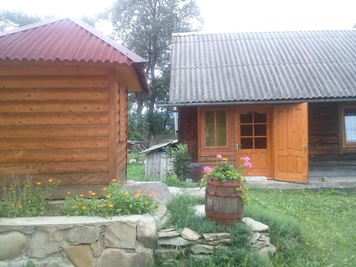 Starovitska Hata - Ethno-Cottage Verkhovyna Dış mekan fotoğraf