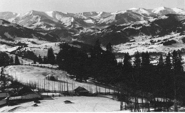 Starovitska Hata - Ethno-Cottage Verkhovyna Dış mekan fotoğraf